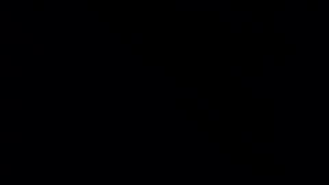 whitehead_lion online show from 21, 2, 2025