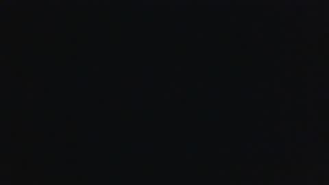 whitehead_lion online show from 18, 9, 2025