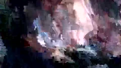 whitpine1 online show from 9, 4, 2026