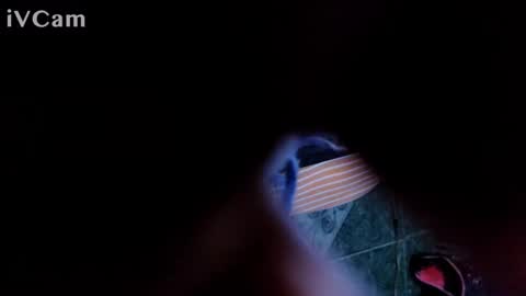 A little Whitte Raven online show from 23, 2, 2026