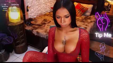 wildara online show from 21, 5, 2026