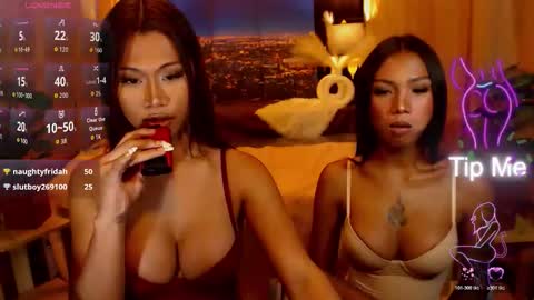 wildara online show from 24, 5, 2026