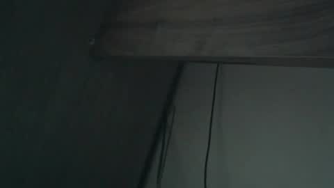 wildbrdick online show from 16, 4, 2026