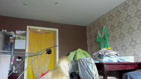 wildforestmuse  twitter online show from 27, 4, 2026