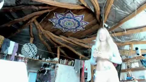 wildforestmuse  twitter online show from 26, 7, 2026