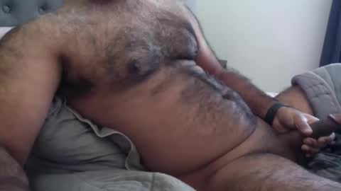 Snapshot of wildhungry chatting on 1, 12, 2025 wildhungry online show from 1, 12, 2025