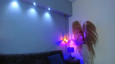 Kitty online show from 29, 4, 2026