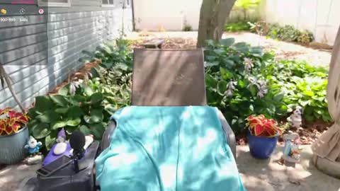 Ivy online show from 6, 8, 2026