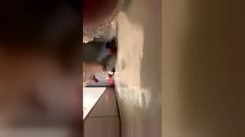 williamcody653 online show from 15, 2, 2026