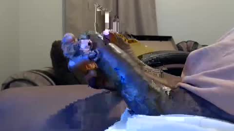 willy d bbc uncut bigdick edging online show from 11, 2, 2025