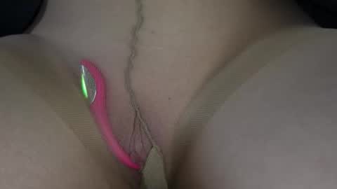 Willow online show from 9, 2, 2026