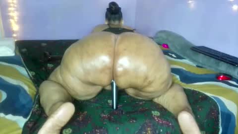 wilmaassylum online show from 19, 12, 2025