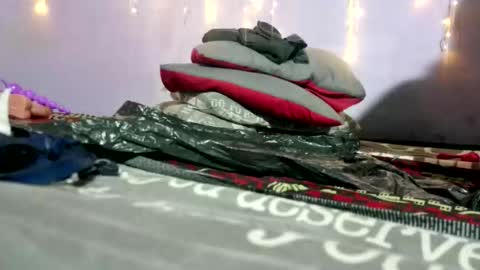 wilmaassylum online show from 25, 4, 2026