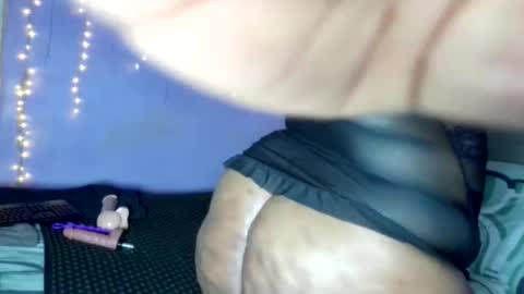 wilmaassylum online show from 27, 4, 2026