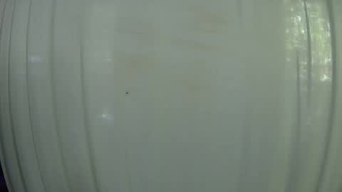 Mater online show from 7, 10, 2025