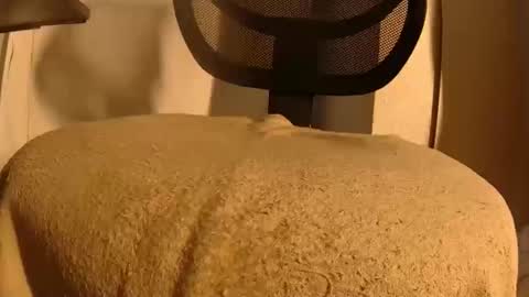 Snapshot of withbothhandsplease chatting on 5, 2, 2026 Mater online show from 5, 2, 2026