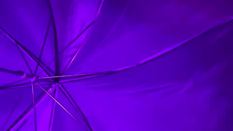 Wiz and Candy online show from 8, 1, 2025