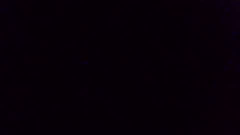 Snapshot of wohnung_at chatting on 9, 4, 2026 wohnung_at online show from 9, 4, 2026