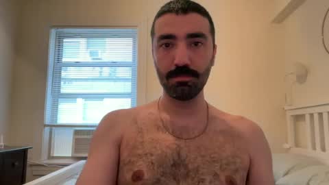 wolcott2026 online show from 14, 6, 2026