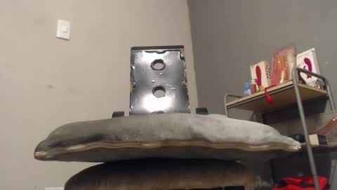 SHENIEL RODRIGUEZ online show from 2, 12, 2025