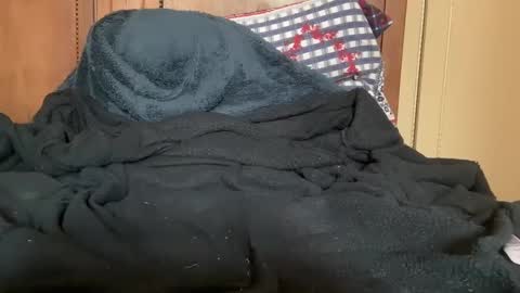 wonkywillywanks online show from 31, 1, 2025