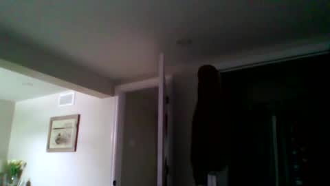 Snapshot of woodeee77 chatting on 15, 3, 2026 woodeee77 online show from 15, 3, 2026