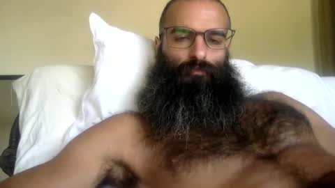 woof_wolf37 online show from 11, 3, 2026