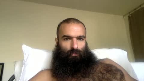 woof_wolf37 online show from 7, 4, 2026