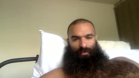 woof_wolf37 online show from 21, 4, 2026