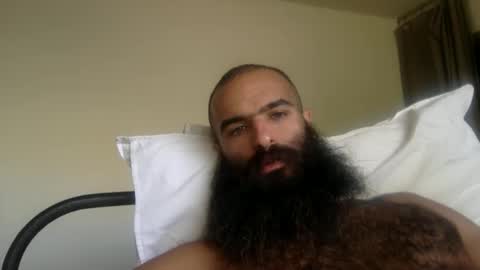 woof_wolf37 online show from 23, 4, 2026