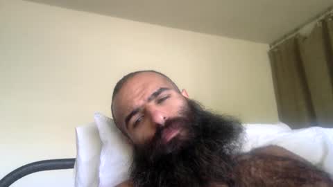 woof_wolf37 online show from 24, 4, 2026