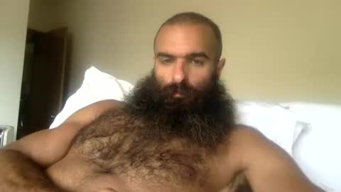 woof_wolf37 online show from 26, 4, 2026