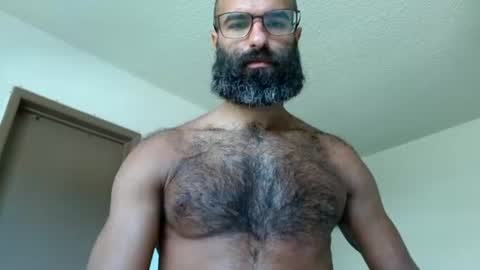 woof_wolf37 online show from 23, 7, 2026