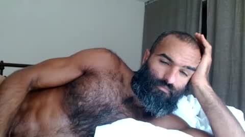 woof_wolf37 online show from 25, 7, 2026
