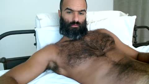 woof_wolf37 online show from 28, 7, 2026