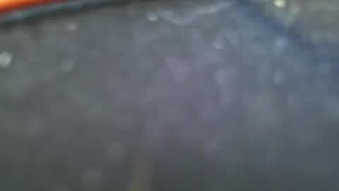 wrangleat0r online show from 28, 1, 2025