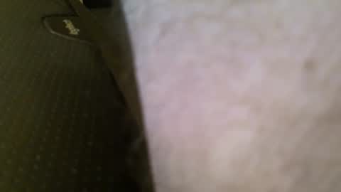 Snapshot of wrangleat0r chatting on 11, 1, 2026 wrangleat0r online show from 11, 1, 2026