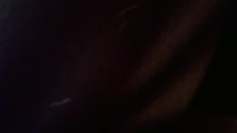 Snapshot of wrangleat0r chatting on 12, 2, 2026 wrangleat0r online show from 12, 2, 2026