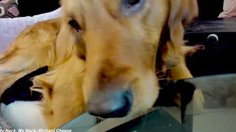 Lily online show from 15, 1, 2025