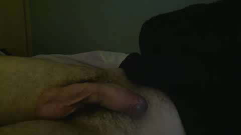 Snapshot of xarrup chatting on 17, 3, 2026 xarrup online show from 17, 3, 2026