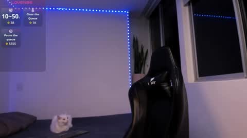 Xavier online show from 21, 6, 2026