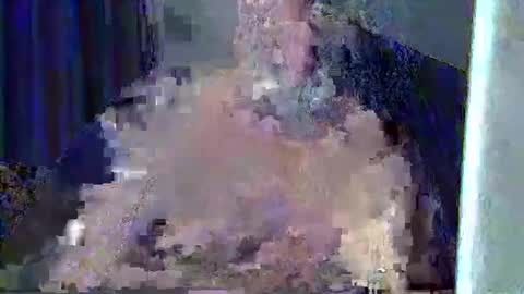 xavireig online show from 2, 4, 2026