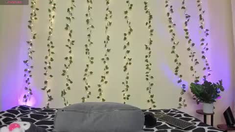    online show from 27, 6, 2026