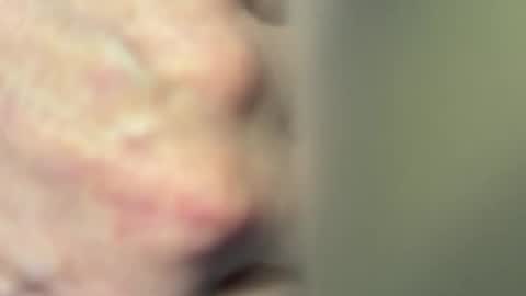 Dada online show from 26, 4, 2026