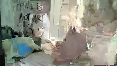 Wendy online show from 28, 12, 2024