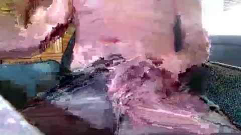 Snapshot of xmen43hot chatting on 18, 9, 2025 xmen43hot online show from 18, 9, 2025