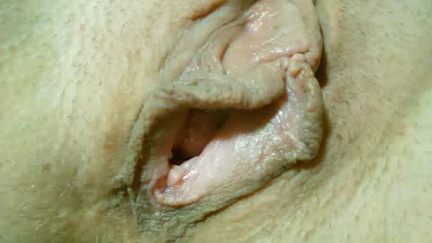 Lost in Lust online show from 31, 1, 2025