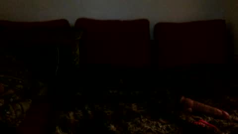 3 online show from 16, 2, 2025