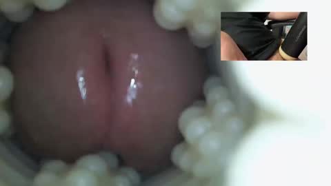 xoxowtf online show from 21, 12, 2025