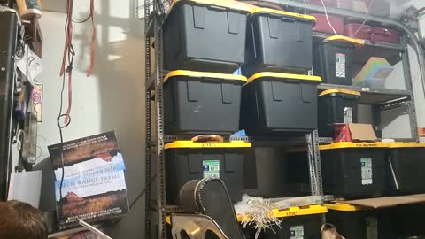 Xploringus online show from 1, 10, 2025